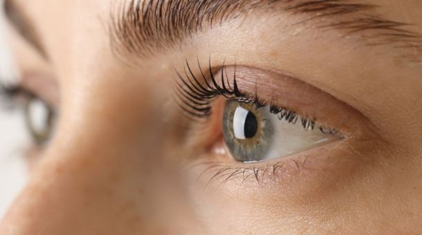 Nahaufnahme gepflegter Wimpern und geformter Augenbrauen.